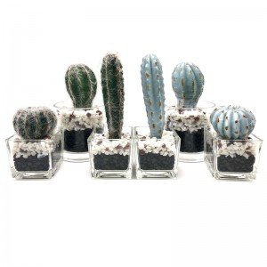 Cactus artificial în ghiveci de sticlă decorativi Faux decorațiuni cu suc pentru casă sau birou