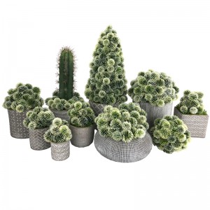 Bile artificiale de cactus în ghiveci decorative Decorațiuni reușite pentru casă sau birou